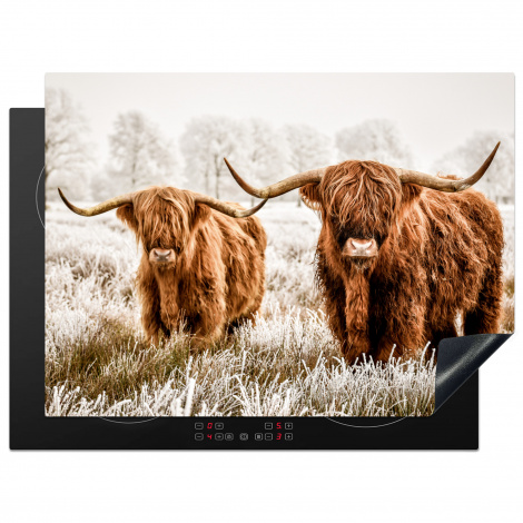 Protège-plaque à induction - Scottish highlander - Vache - Animaux - Nature - Bruyère