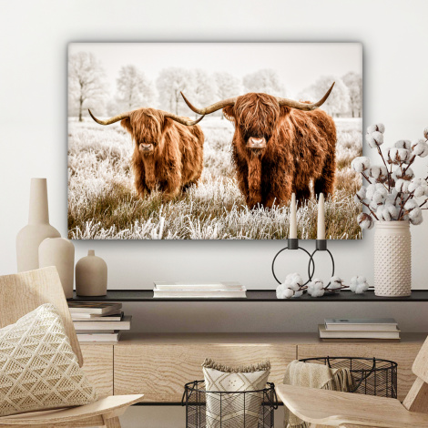 Canvas schilderij - Schotse hooglander - Koe - Natuur - Winter-3