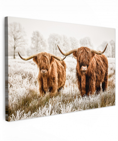 Canvas schilderij - Schotse hooglander - Koe - Natuur - Winter
