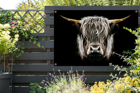 Tuinposter - Schotse hooglander - Portret - Zwart - Wit - Koe - Dieren - Liggend-thumbnail-2