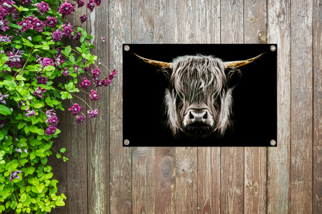 Tuinposter - Schotse hooglander - Portret - Zwart - Wit - Koe - Dieren - Liggend-4