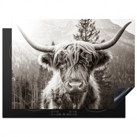 Herdabdeckplatte - Schottischer Highlander - Kuh - Tiere - Schwarz - Weiß