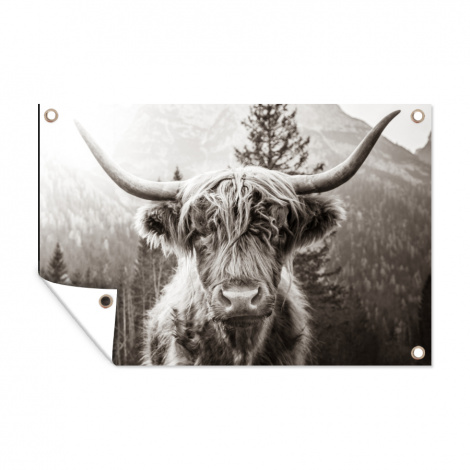 Tuinposter - Schotse hooglander - Koe - Dieren - Zwart - Wit - Liggend