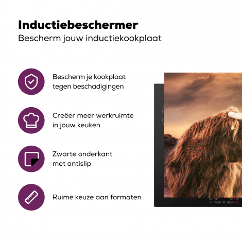 Inductiebeschermer - Schotse hooglander - Zon - Horizon - Koe - Dieren-3