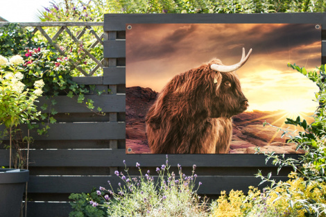 Tuinposter - Schotse hooglander - Zon - Horizon - Koe - Dieren - Liggend-2