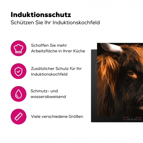 Herdabdeckplatte - Schottischer Highlander - Schwarz - Kuh - Horn - Tiere-3