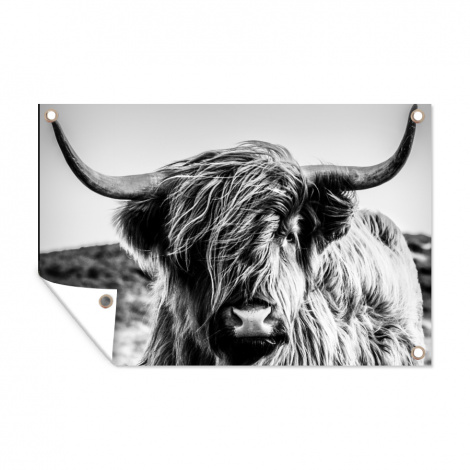 Tuinposter - Koe - Schotse hooglander - Zwart - Wit - Dier - Natuur - Wild - Liggend-thumbnail-1