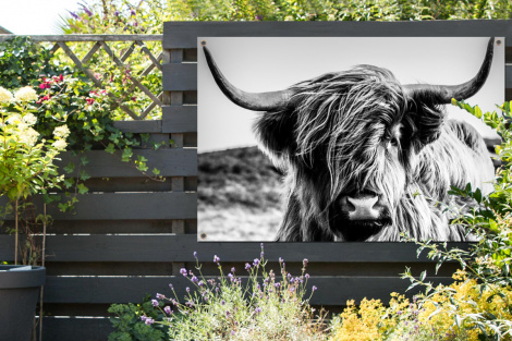 Tuinposter - Koe - Schotse hooglander - Zwart - Wit - Dier - Natuur - Wild - Liggend-2