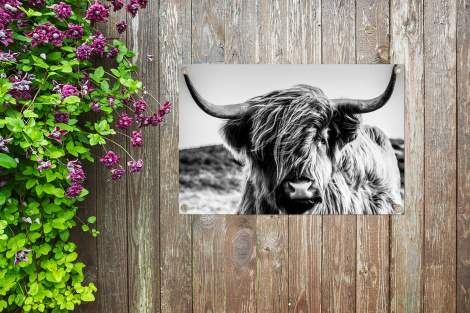 Tuinposter - Koe - Schotse hooglander - Zwart - Wit - Dier - Natuur - Wild - Liggend-thumbnail-4