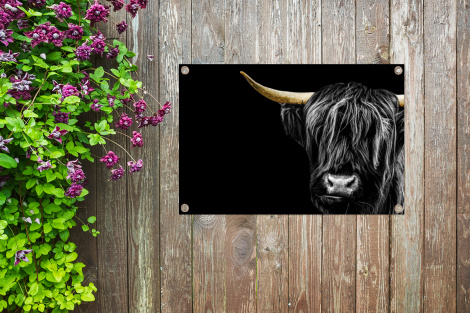 Tuinposter - Schotse hooglander - Goud - Vacht - Dieren - Koe - Liggend-4
