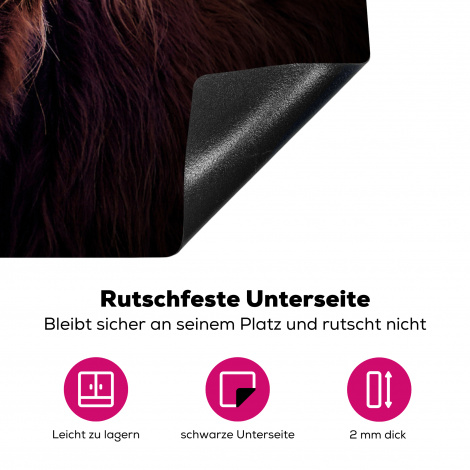 Herdabdeckplatte - Schottischer Highlander - Licht - Porträt - Natur-4