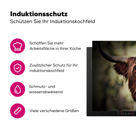 Herdabdeckplatte - Schottischer Highlander - Licht - Porträt - Natur-3