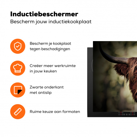 Inductiebeschermer - Schotse hooglander - Licht - Portret - Natuur-3