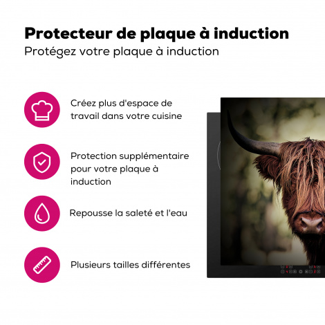 Protège-plaque à induction - Highlander écossais - Lumière - Portrait - Nature-3