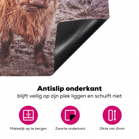 Inductiebeschermer - Schotse hooglanders - Licht - Lucht - Natuur-4