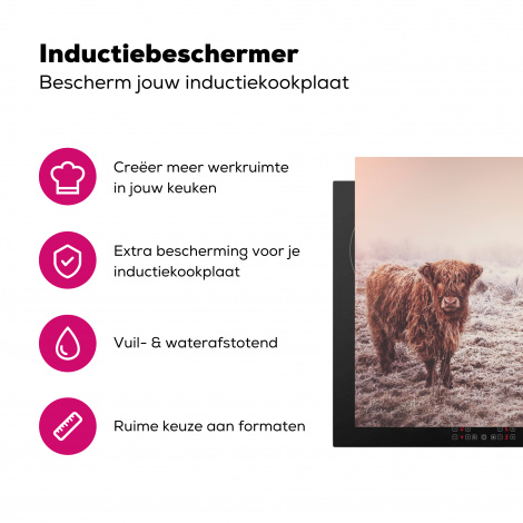 Inductiebeschermer - Schotse hooglanders - Licht - Lucht - Natuur-3
