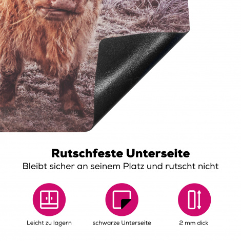 Herdabdeckplatte - Schottischer Highlander - Licht - Himmel - Natur-4