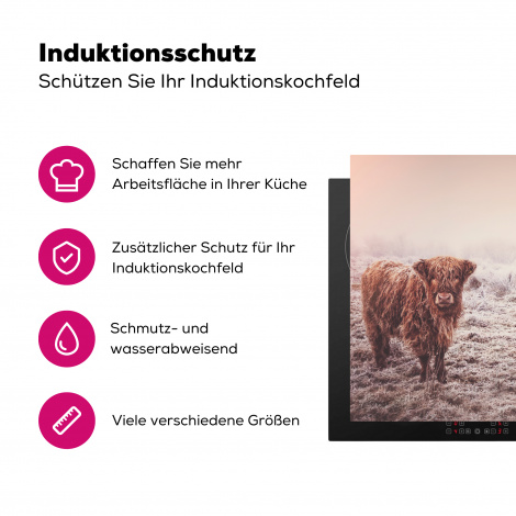 Herdabdeckplatte - Schottischer Highlander - Licht - Himmel - Natur-3