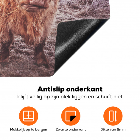 Inductiebeschermer - Schotse hooglanders - Licht - Lucht - Natuur-4