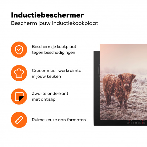 Inductiebeschermer - Schotse hooglanders - Licht - Lucht - Natuur-3