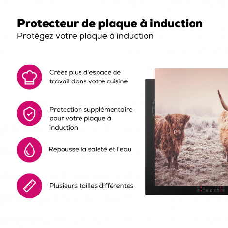 Protège-plaque à induction - Highlanders écossais - Lumière - Ciel - Nature-3