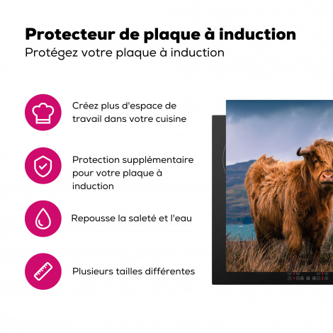 Protège-plaque à induction - Highlander écossais - Montagne - Eau - Nature - Vache-3