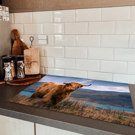 Herdabdeckplatte - Schottischer Highlander - Berg - Wasser - Natur - Kuh-5