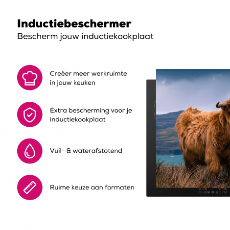 Inductiebeschermer - Schotse Hooglander - Berg - Water - Natuur - Koe-3
