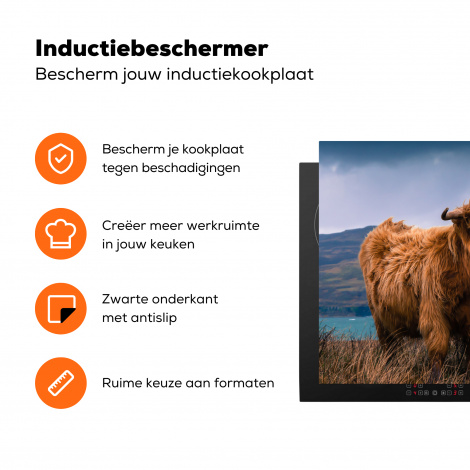 Inductiebeschermer - Schotse Hooglander - Berg - Water - Natuur - Koe-3