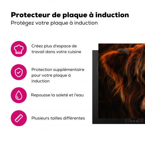 Protège-plaque à induction - Highlander écossais - Vache - Portrait - Animaux-3
