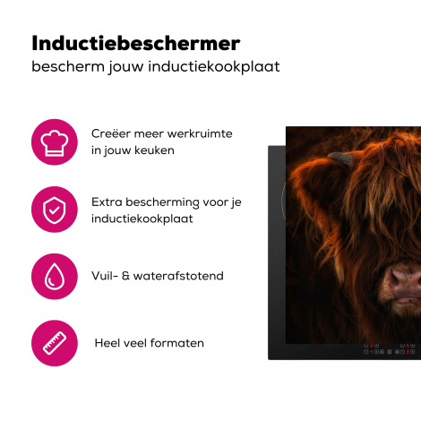 Inductiebeschermer - Schotse Hooglander - Koe - Portret - Dieren-3