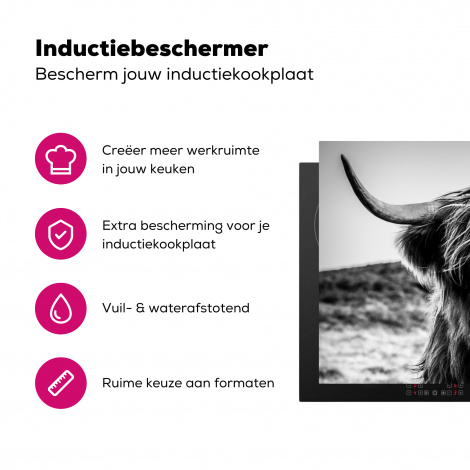 Inductiebeschermer - Schotse hooglander - Natuur - Koe - Zwart - Wit-3