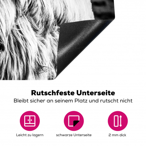 Herdabdeckplatte - Schottischer Highlander - Natur - Kuh - Schwarz - Weiß-4