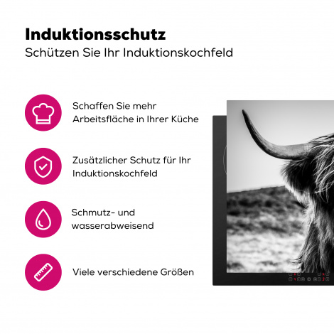 Herdabdeckplatte - Schottischer Highlander - Natur - Kuh - Schwarz - Weiß-3