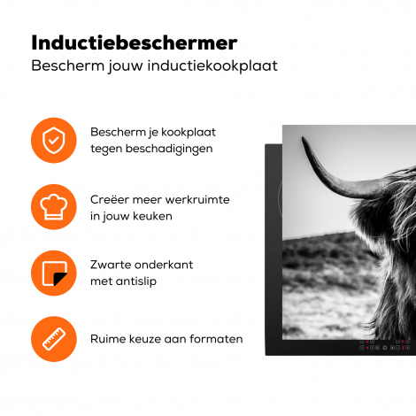 Inductiebeschermer - Schotse hooglander - Natuur - Koe - Zwart - Wit-3