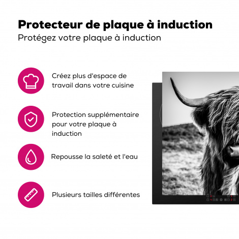 Protège-plaque à induction - Highlander écossais - Nature - Vache - Noir - Blanc-3