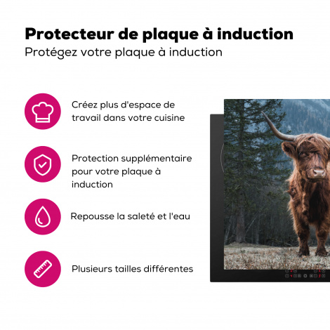 Protège-plaque à induction - Highlander écossais - Montagne - Paysage - Arbres - Vache - Nature-3