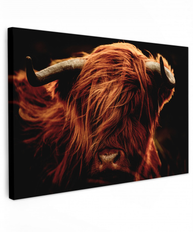 Canvas schilderij - Schotse hooglander - Koeienkop - hoorns - Portret - Dieren