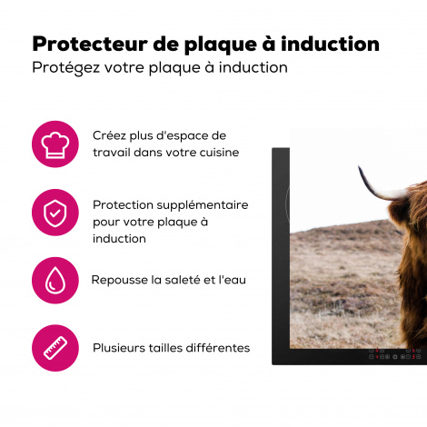Protège-plaque à induction - Highlander écossais - Paysage - Vache - Brun - Animaux - Nature-3