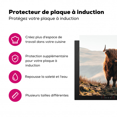 Protège-plaque à induction - Highlander écossais - Animaux - Rural - Paysage - Vache - Nature-3