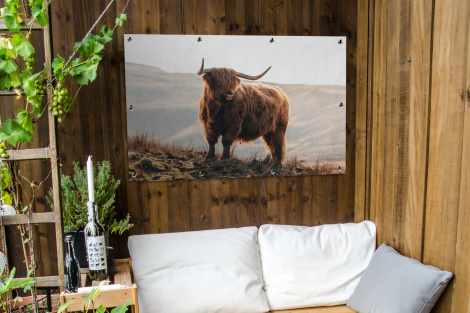Tuinposter - Schotse hooglander - Dieren - Landelijk - Landschap - Koe - Natuur - Liggend-thumbnail-3