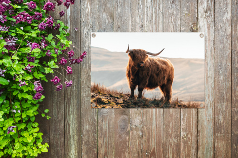 Tuinposter - Schotse hooglander - Dieren - Landelijk - Landschap - Koe - Natuur - Liggend-thumbnail-4