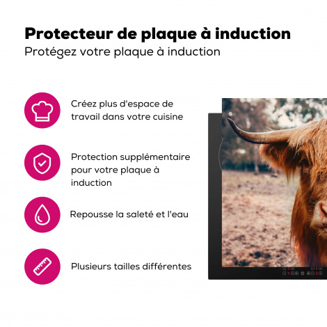 Protège-plaque à induction - Vache - Highlander écossais - Cornes - Brun - Paysage-3