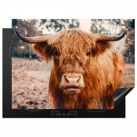 Protège-plaque à induction - Vache - Highlander écossais - Cornes - Brun - Paysage