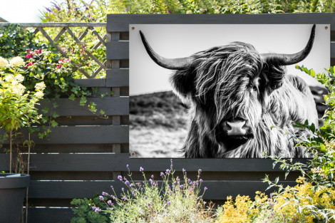 Tuinposter - Schotse hooglander - Natuur - Koe - Zwart - Wit - Liggend-thumbnail-2
