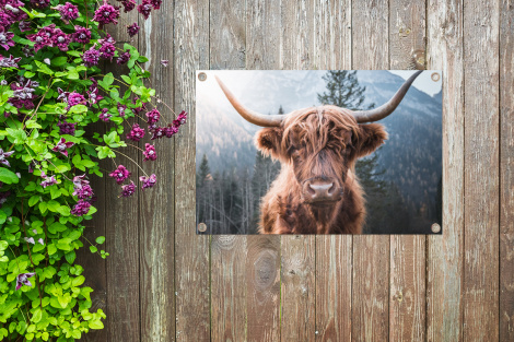Tuinposter - Schotse hooglander - Koe - Dieren - Berg - Natuur - Liggend-thumbnail-4