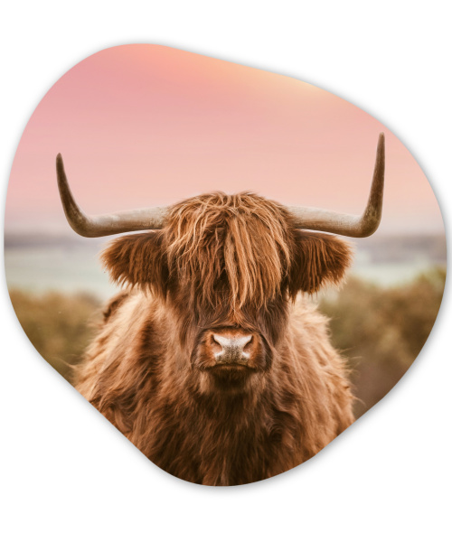 Organisch schilderij - Natuur - Schotse hooglander - Roze