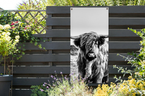 Tuinposter - Koe - Schotse hooglander - Zwart - Wit - Dier - Natuur - Wild - Staand-2