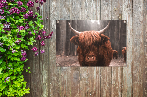 Tuinposter - Schotse hooglander - Bos - Koe - Dieren - Natuur - Liggend-thumbnail-4