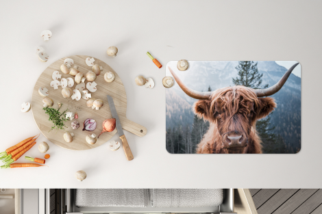Premium placemats (6 stuks) - Schotse hooglander - Bergen - Portret - 45x30 cm-4
